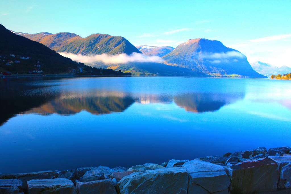 Closing the loop:How biomega® is helping the pet food industry work towards zero waste